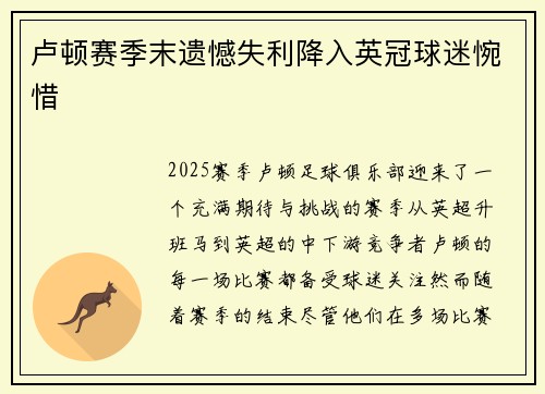 卢顿赛季末遗憾失利降入英冠球迷惋惜 卢顿赛季末遗憾失利降入英冠球迷惋惜